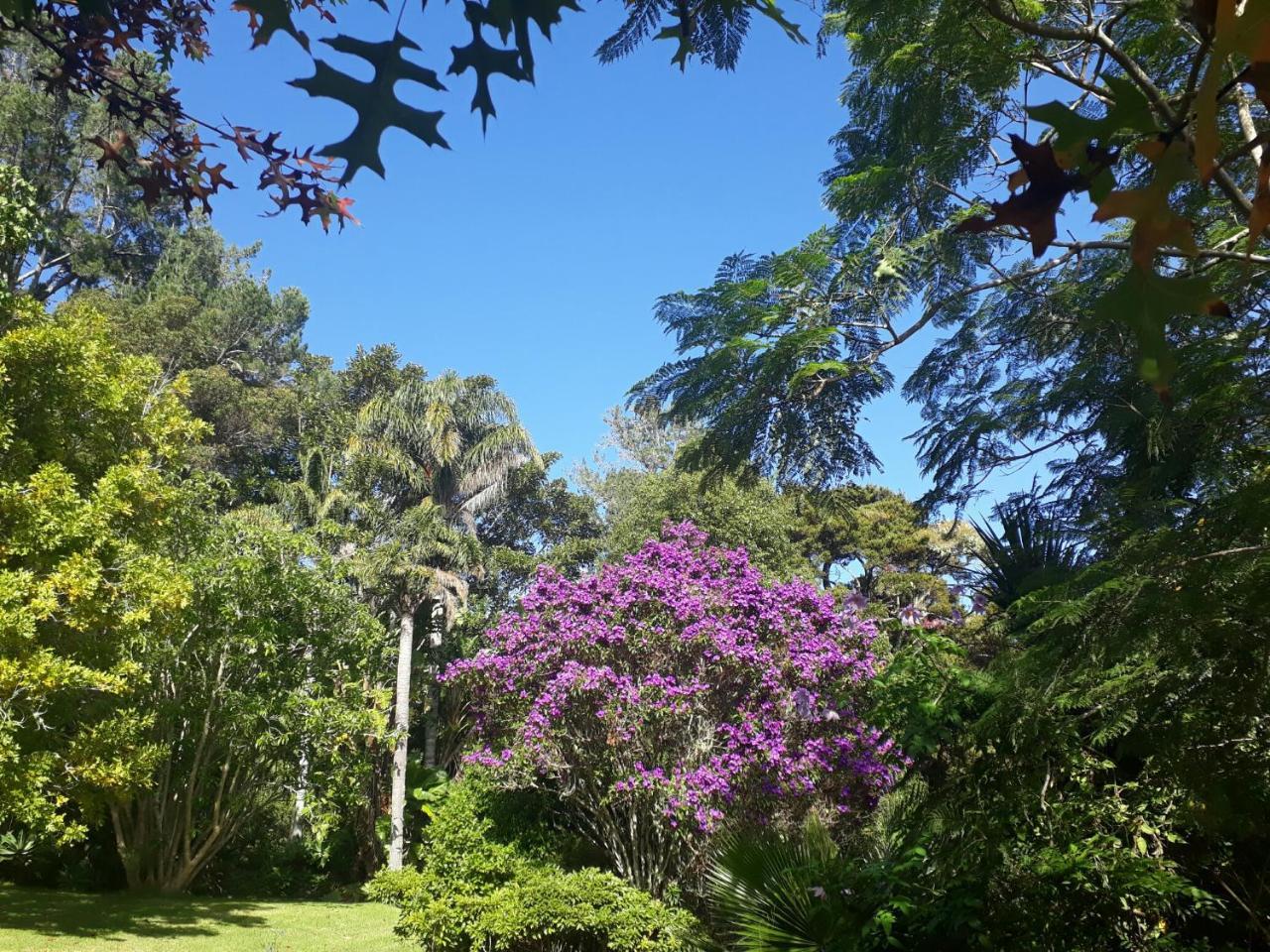 Magic Cottages At Takou River Kerikeri Exterior photo