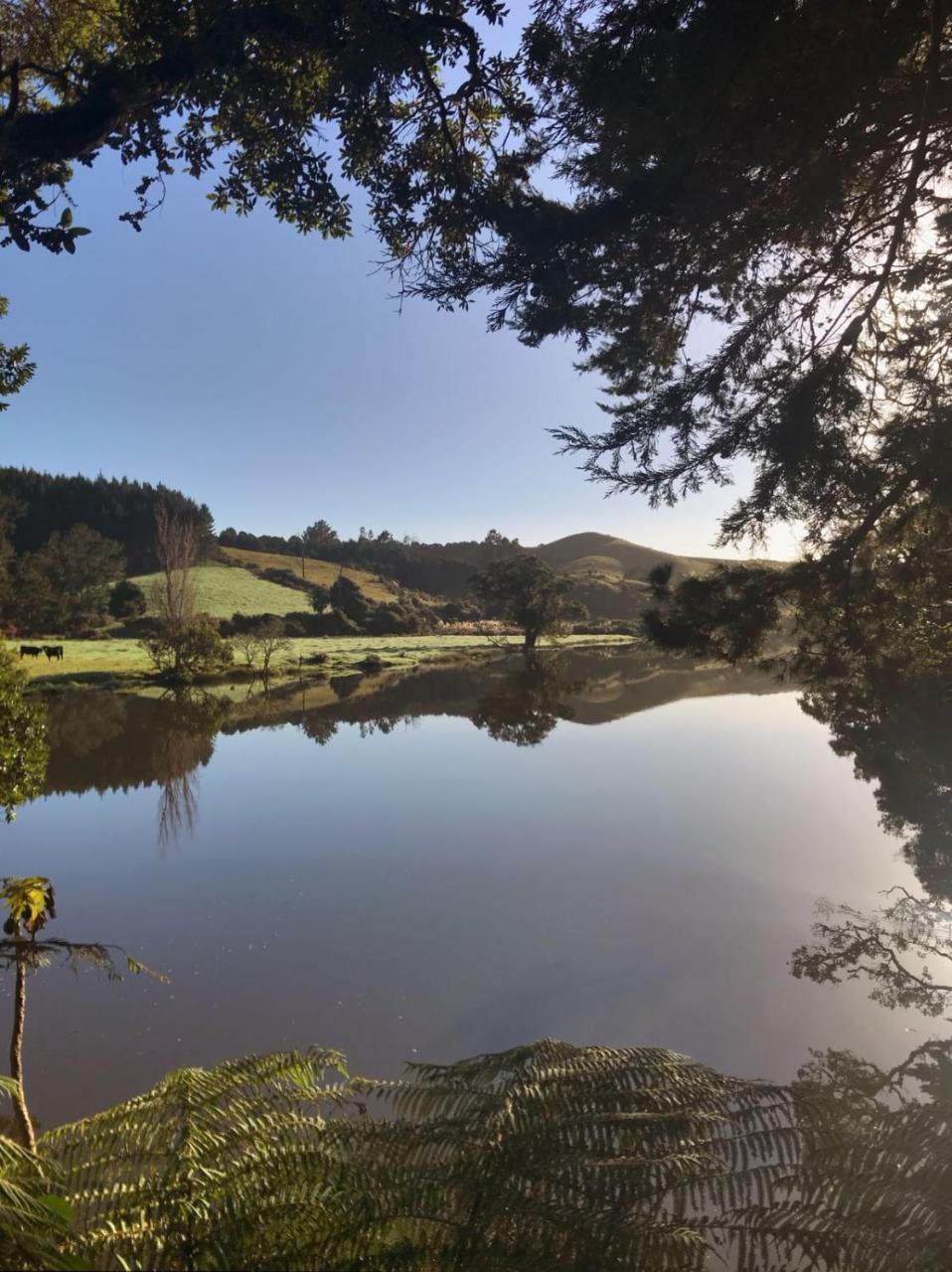 Magic Cottages At Takou River Kerikeri Exterior photo