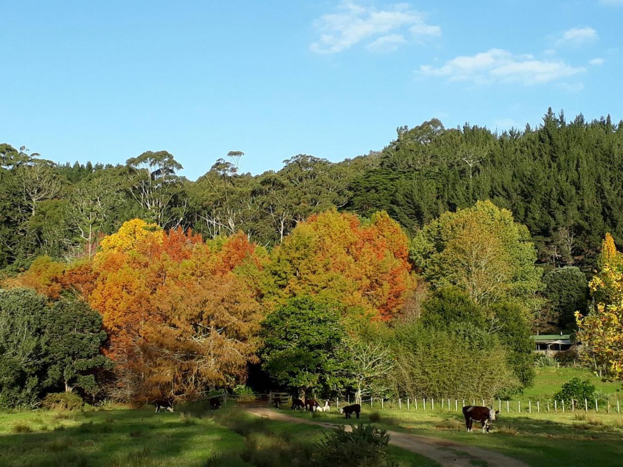 Magic Cottages At Takou River Kerikeri Exterior photo